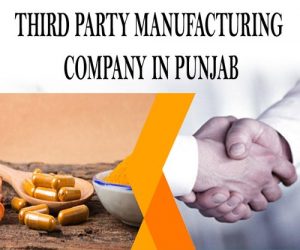 Third Party Pharma Manufacturing Company in Punjab