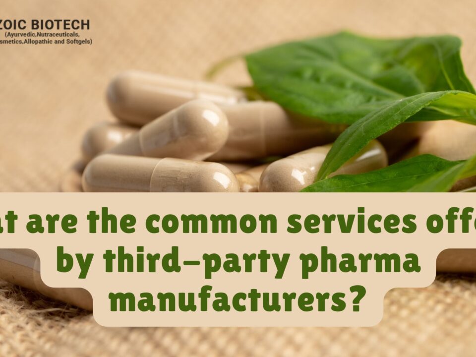 Common Services Offered by Third-Party Pharma Manufacturers